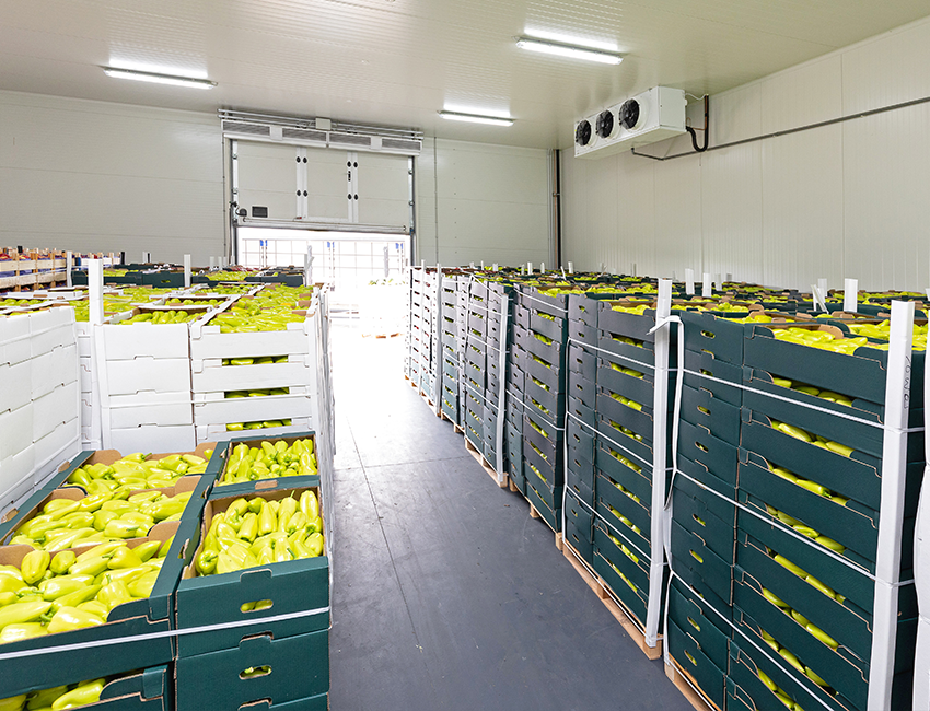 Cold store management