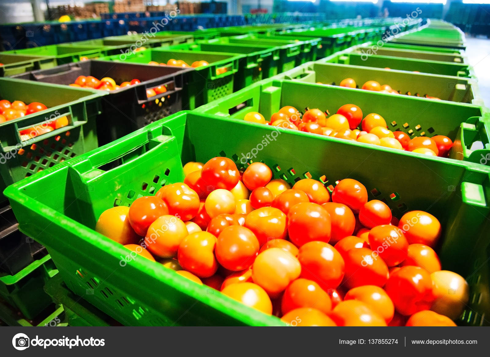 Processing and packaging