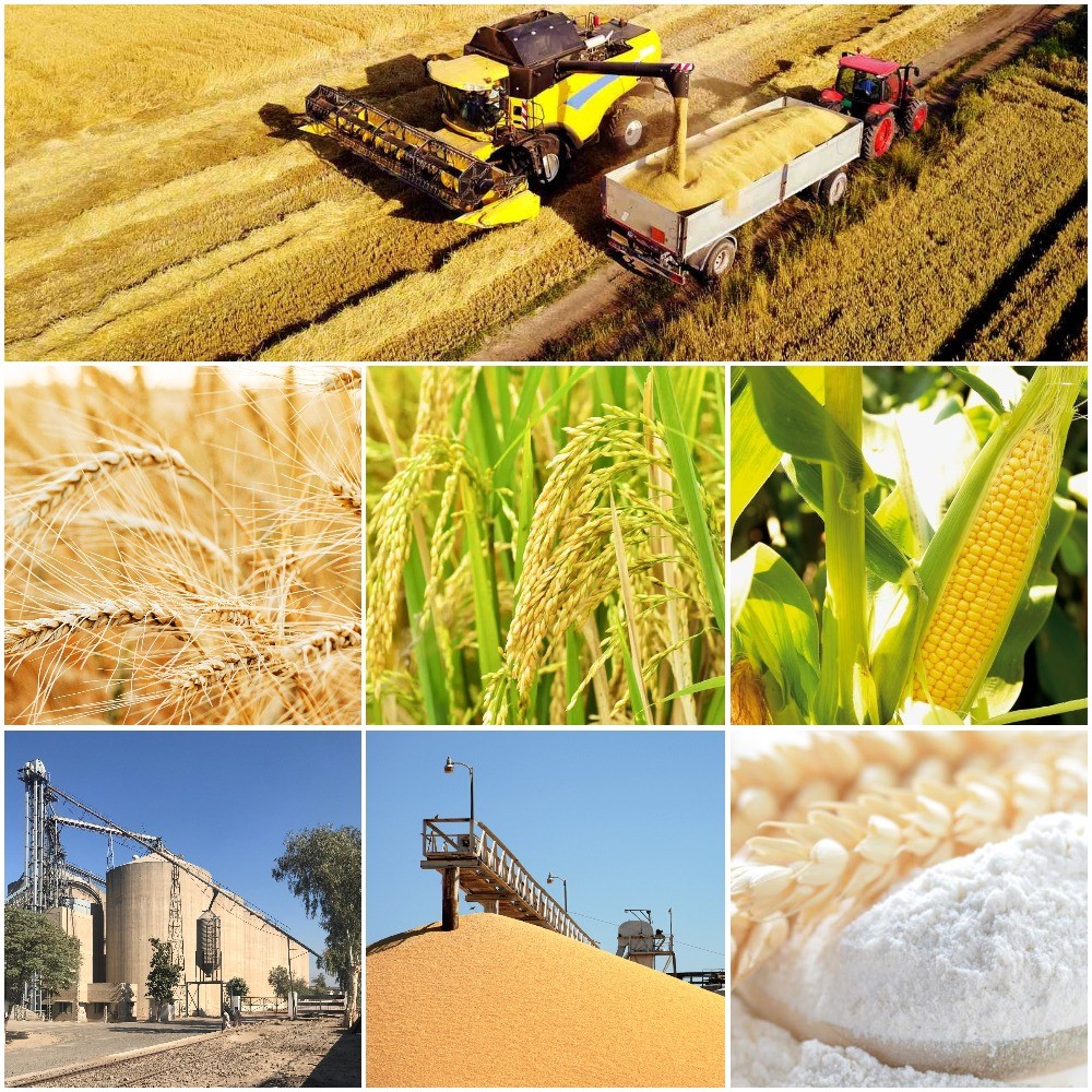 Postharvest Management of Durables ebook cover