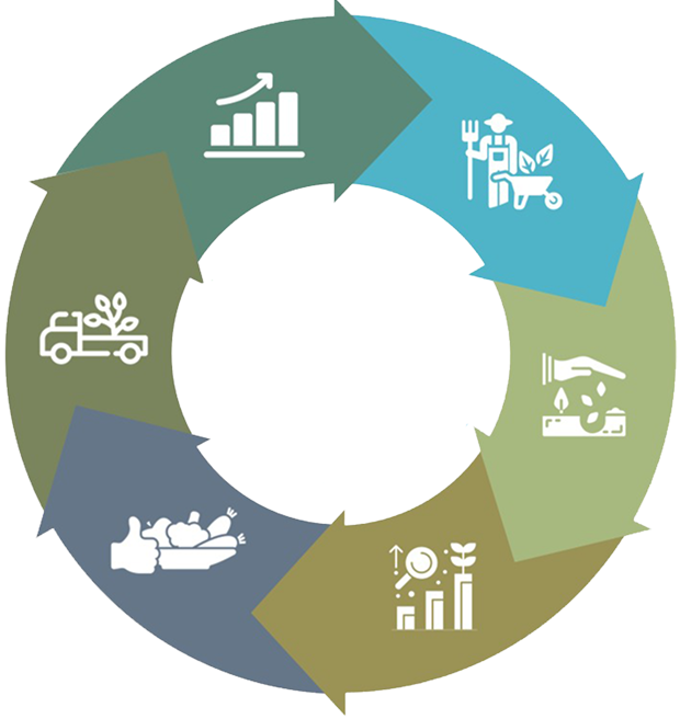 PHC process icon wheel