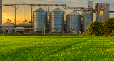Grain silos