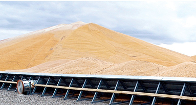 Grain storage