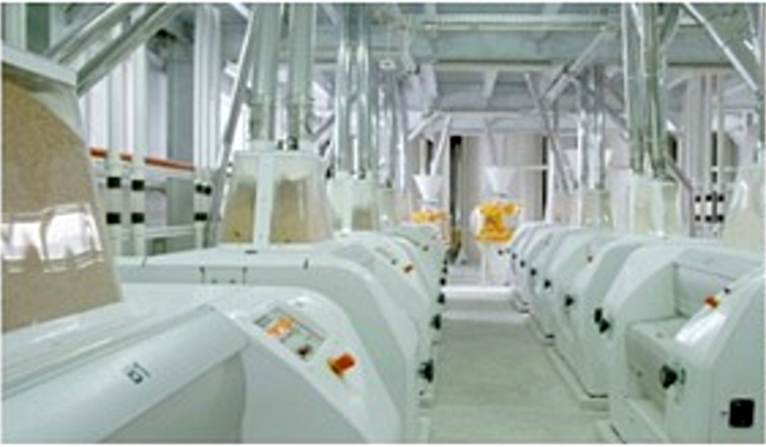 Flour milling technologies