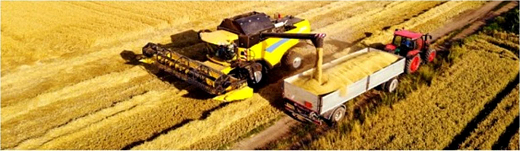 Harvest and field logistics