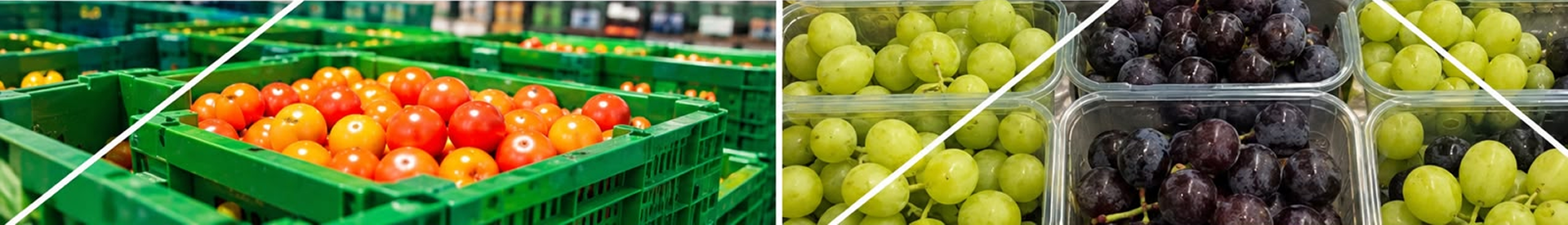 Perishables produce collage