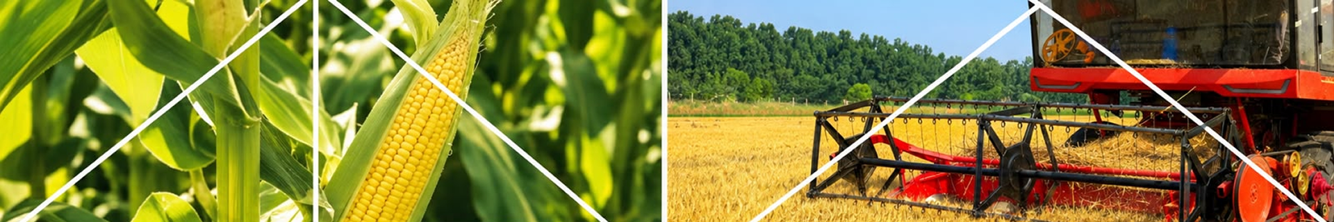 Durables harvest collage